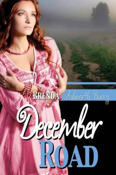 Cover for Brenda Ashworth Barry · December Road (Taschenbuch) (2014)