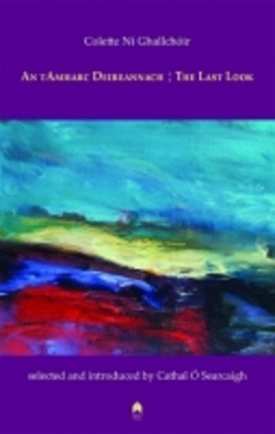 An tAmharc Deireannach : The Last Look - Colette Ni Ghallchoir - Books - Arlen House - 9781851321032 - March 15, 2016