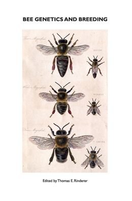 Bee Genetics and Breeding - T E Rinderer - Bøger - Northern Bee Books - 9781914934032 - 22. juli 2010