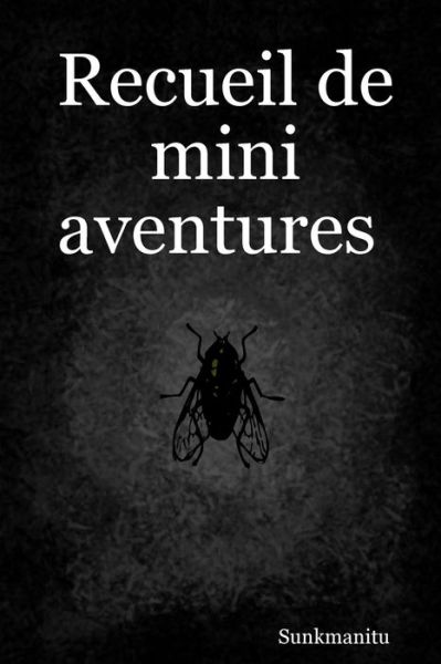 Recueil de mini aventures - Sunkmanitu - Books - Christophe Desmaisons - 9782491308032 - July 23, 2019