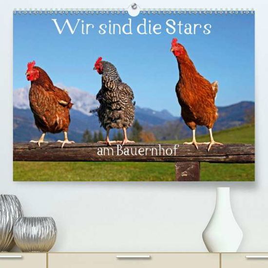 Cover for Kramer · Wir sind die Stars am Bauernhof (Bog)
