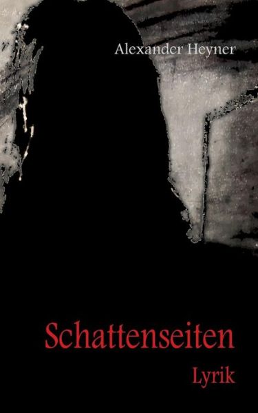 Cover for Alexander Heyner · Schattenseiten (Paperback Book) [German edition] (2013)