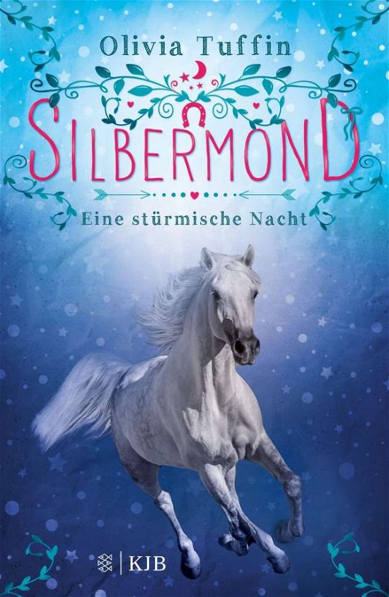 Cover for Tuffin · Silbermond: Eine stürmische Nach (Buch)