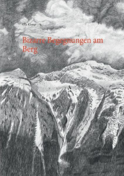 Cover for Ulla Klomp · Bizarre Begegnungen Am Berg (Paperback Book) [German edition] (2014)