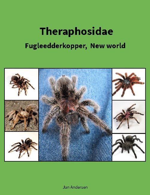 Cover for Jan Andersen · Theraphosidae (Pocketbok) [1. utgave] (2021)