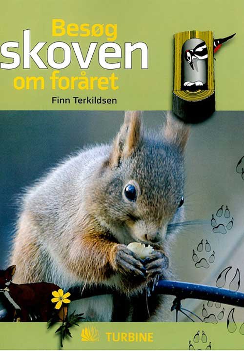 Cover for Finn Terkildsen · Besøg skoven om foråret (Indbundet Bog) [1. udgave] [Indbundet] (2011)