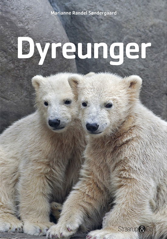 Cover for Marianne Randel Søndergaard · Midi: Dyreunger (Inbunden Bok) [1:a utgåva] (2017)