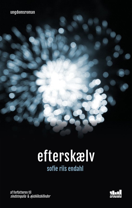 Cover for Sofie Riis Endahl · Sindstequila: Efterskælv (Sewn Spine Book) [1.º edición] (2019)