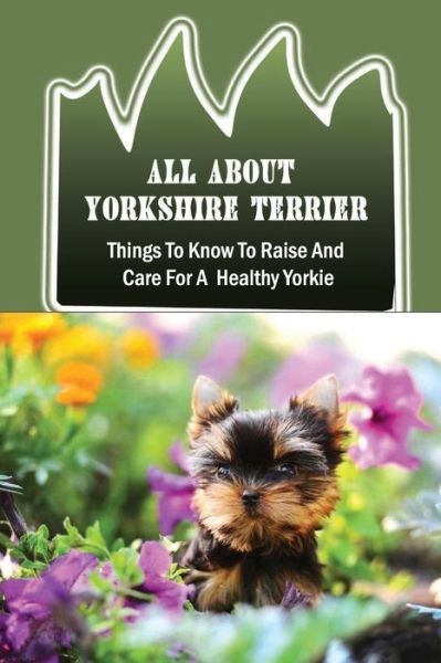 Cover for Quinn Lipoma · All About Yorkshire Terrier (Paperback Book) (2021)