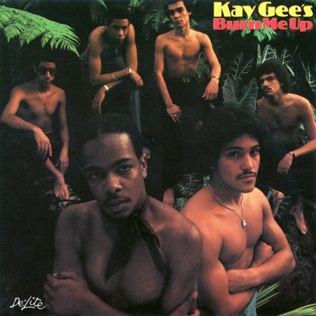 Cover for Kay-Gees · Burn Me Up (CD) (1995)