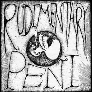 Cover for Rudimentary Peni (LP) (2022)