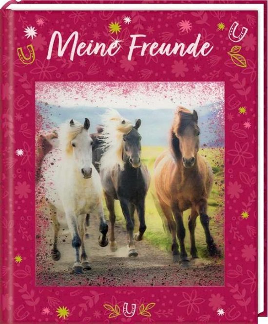 Cover for Freundebuch · Freundebuch - Pferdefreunde - Mei.71803 (Bok)