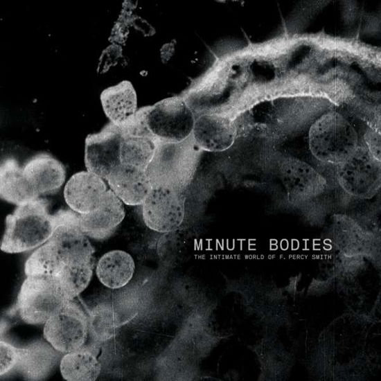 Minute Bodies: the Intimate World of F. Percy Smith - Tindersticks - Musik - CITY SLANG - 4250506822033 - 9. juni 2017