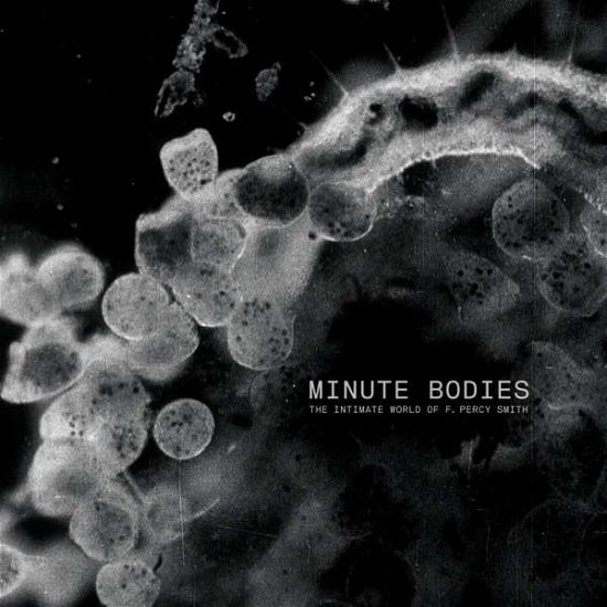 Cover for Tindersticks · Minute Bodies: the Intimate World of F. Percy Smith (LP/DVD) (2017)