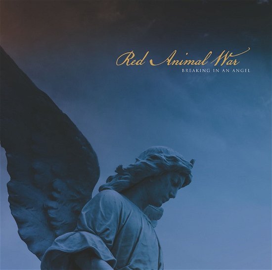Cover for Red Animal War · Breaking In An Angel (LP) (2023)
