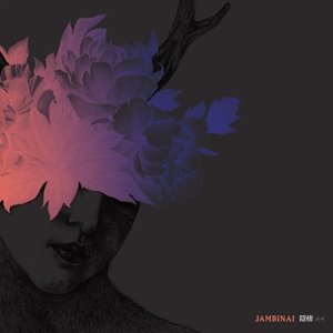 Cover for Jambinai · A Hermitage (LP) [180 gram edition] (2016)