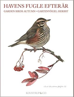 Cover for Carl Christian Tofte · Naturkort: Havens fugle - EFTERÅR (ACCESSORY) [1.º edición] (2016)