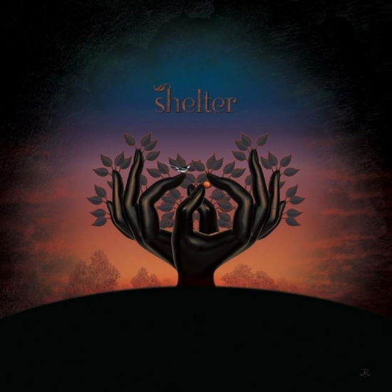 Cover for Laughing Stock · Shelter (CD) (2024)