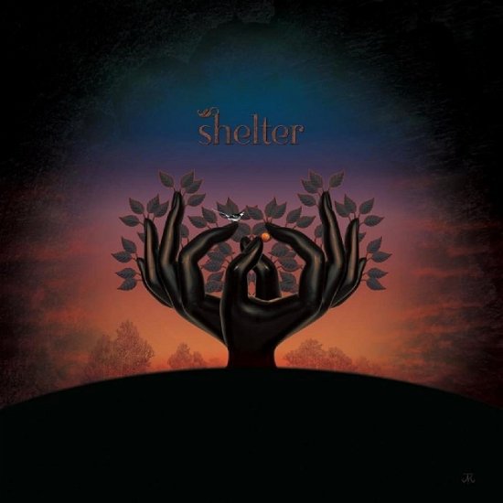 Laughing Stock · Shelter (CD) (2024)