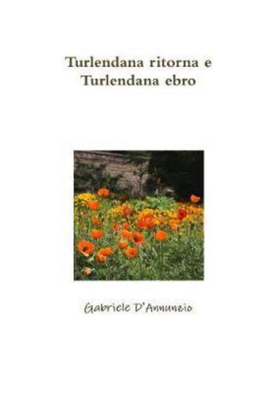 Cover for Gabriele D'Annunzio · Turlendana ritorna e Turlendana ebro (Paperback Book) (2017)