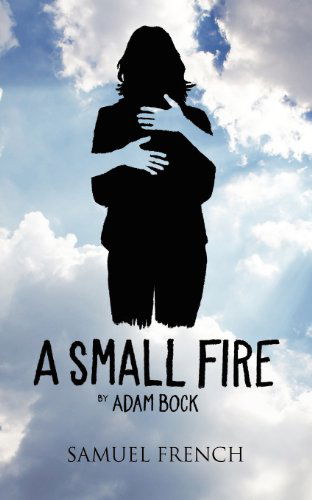 Cover for Adam Bock · A Small Fire (Paperback Book) [Samuel French Acting edition] (2012)