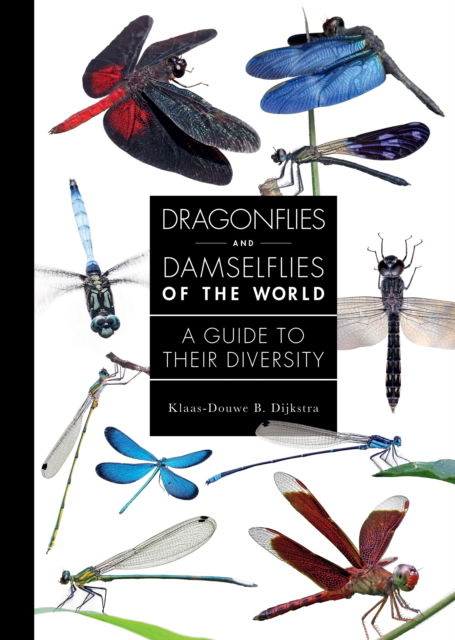 Cover for Dijkstra, Dr. Klaas-Douwe B. (Postdoctoral Researcher) · Dragonflies and Damselflies of the World: A Guide to Their Diversity - A Guide to Every Family (Hardcover Book) (2025)