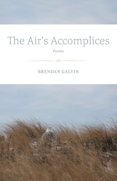 Brendan Galvin · The Air's Accomplices: Poems (Paperback Book) (2015)