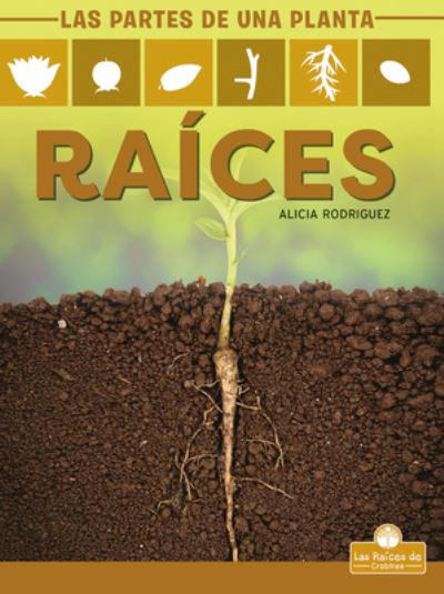 Cover for Alicia Rodriguez · Raices (Paperback Book) (2021)