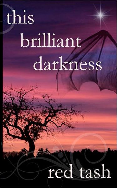 Cover for Red Tash · This Brilliant Darkness (Paperback Book) (2011)