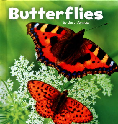 Cover for Lisa J. Amstutz · Butterflies (Hardcover Book) (2016)