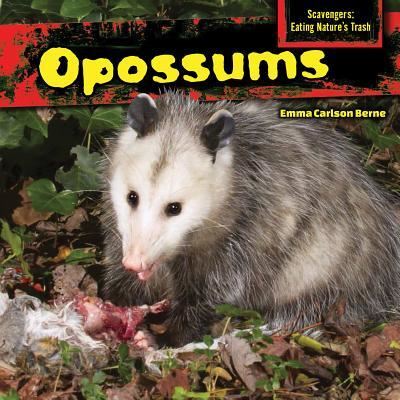 Cover for Emma Carlson Berne · Opossums (Book) [First edition. edition] (2014)