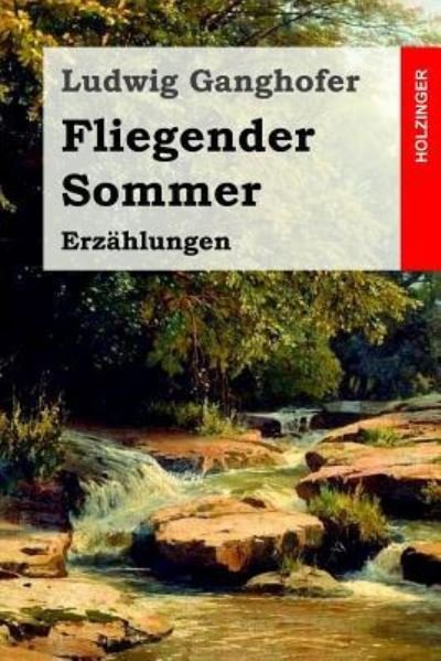 Cover for Ludwig Ganghofer · Fliegender Sommer (Paperback Bog) (2016)