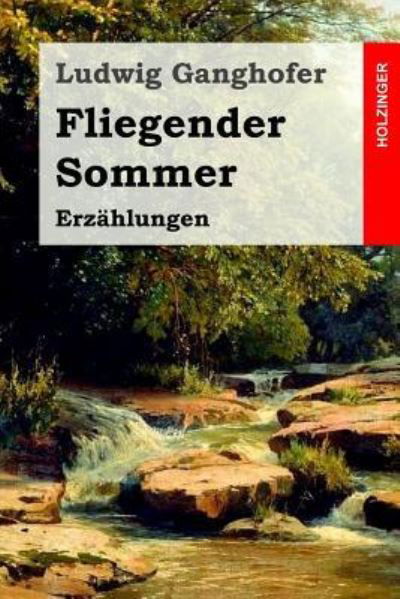 Fliegender Sommer - Ludwig Ganghofer - Książki - Createspace Independent Publishing Platf - 9781530184033 - 23 lutego 2016