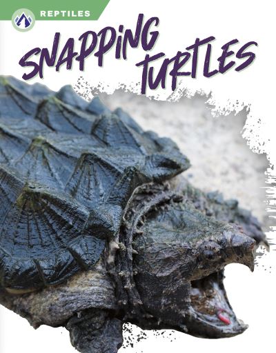 Cover for Shannon Jade · Snapping Turtles (Book) (2023)