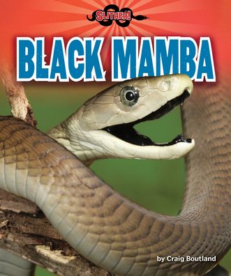 Cover for Tbd · Black Mamba (Book) (2020)