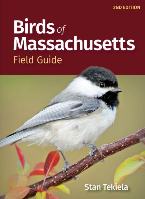 Birds of Massachusetts Field Guide - Bird Identification Guides - Stan Tekiela - Bücher - Adventure Publications, Incorporated - 9781647554033 - 28. Dezember 2023