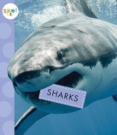 Cover for Mari C. Schuh · Sharks (Book) (2018)