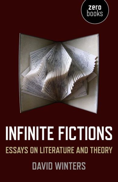 Cover for David Winters · Infinite Fictions - Essays on Literature and Theory (Pocketbok) (2015)