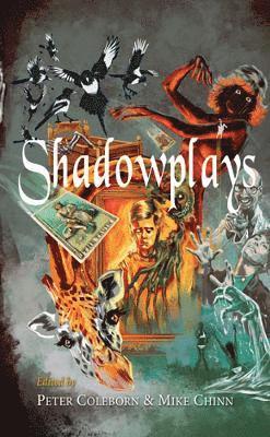 Cover for Shadowsplay (Paperback Book) (2024)