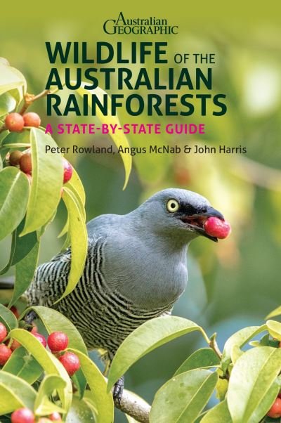 Cover for Peter Rowland · Wildlife of the Australian Rainforests: A State-By-State Guide (Taschenbuch) (2021)