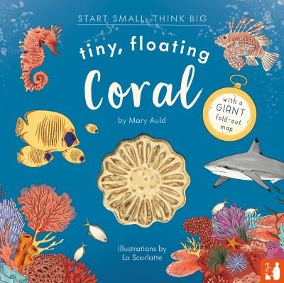 Cover for Mary Auld · Tiny, Floating Coral: A fact-filled picture book about the life cycle of coral, with fold-out map of the world’s coral reefs (ages 4-8) - Start Small, Think Big (Hardcover bog) (2024)