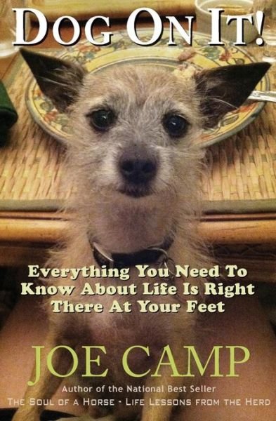Cover for Joe Camp · Dog on It!: Everything You Need to Know About Life is Right There at Your Feet (Paperback Book) (2013)
