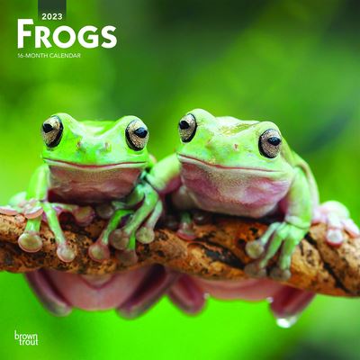 Cover for Browntrout · Frogs 2023 Square (Calendar) (2022)