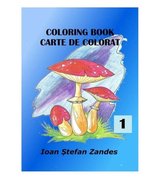 Cover for Ioan Stefan Zandes · Coloring Books (Paperback Bog) (2017)