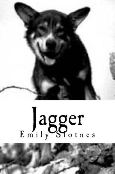 Cover for Vt Emily Ann Slotnes · Jagger (Taschenbuch) (2017)