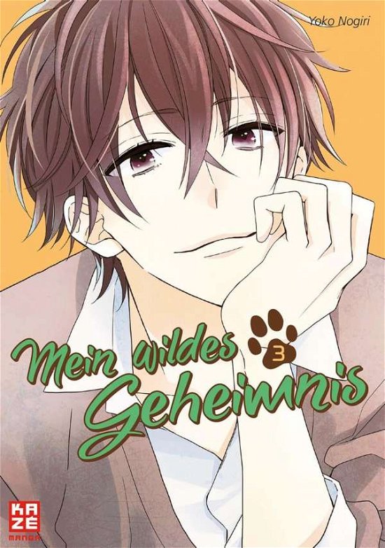 Cover for Nogiri · Mein wildes Geheimnis 03 (Book)
