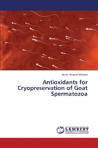 Cover for Akeel Ahmed Memon · Antioxidants for Cryopreservation of Goat Spermatozoa (Pocketbok) (2013)