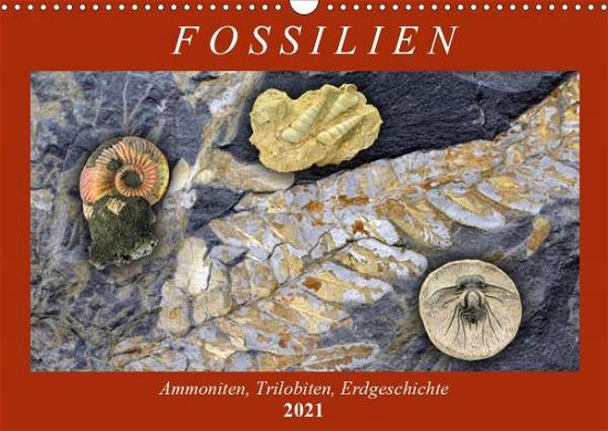 Cover for Frost · Fossilien - Ammoniten, Trilobiten (Bog)