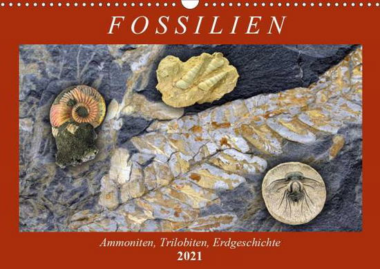 Cover for Frost · Fossilien - Ammoniten, Trilobiten (Book)