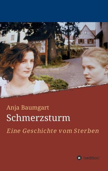 Cover for Baumgart · Schmerzsturm (Book) (2018)